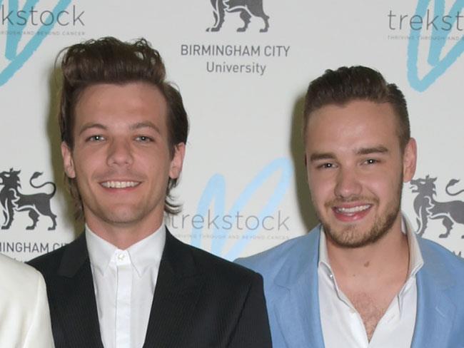 Liam Payne and Louis Tomlinson wrote a song together