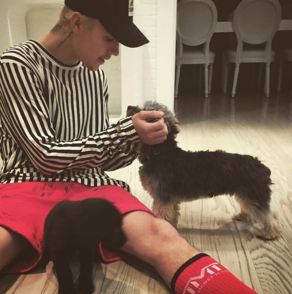 Justin Bieber is basically living the life we want. No we don’t mean the squillions of the dollars or the private jets, nope. It's cos he’s now the proud owner of two dogs. Yup, TWO. Over the weekend Biebs went out and got himself a wee pup to befriend his other cute pup, Esther. Everyone, meet Phil… aka one of the luckiest puppers alive.