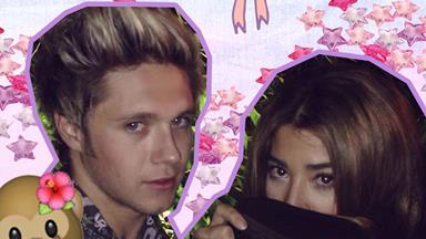 Here's proof this is probs Niall Horan's new girlfriend