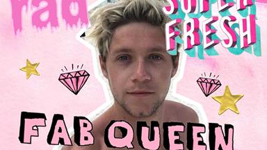 Niall Horan has finally gotten the birthday surprise he deserved