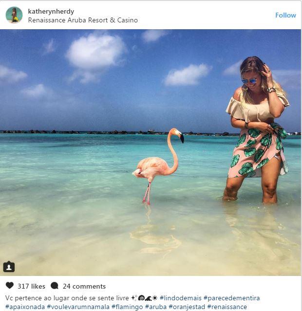 There S A Beach In The Caribbean Where You Can Swim With Flamingos
