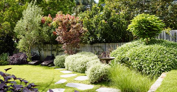 10 trees to plant in backyards big or small | Homes To Love