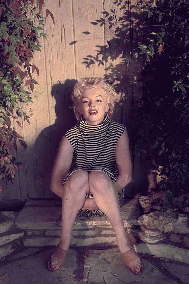 Garden dreaming: Marilyn Monroe sits among the flowers in 1954.