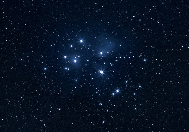 The stars of Matariki