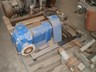 german lobe pumps 209372 002