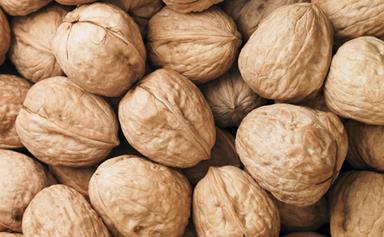 Nuts every day keeps heart disease at bay!
