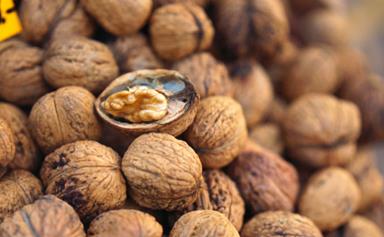 Walnut, a wonderful a nut