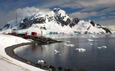 Chilling out in Antarctica: a getaway cruise