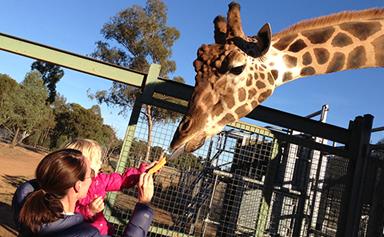 A trip to Dubbo's Western Plains Zoo
