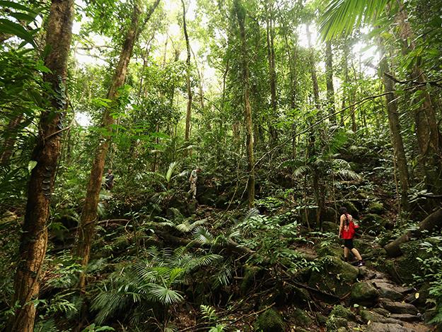 The spectacular Daintree rainforest on Queensland's north east coast of is 135 million years old and World Heritage-protected. You can't go past staying at the gorgeous [Daintree Eco Lodge & Spa](http://www.daintree-ecolodge.com.au/).