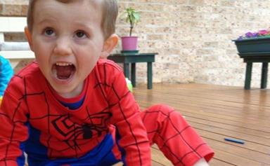 Police visit Bill Spedding’s house on second day of new search for William Tyrrell