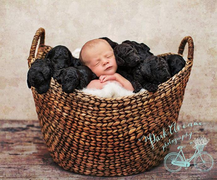 Puppies and baby born on same day pose for adorable photoshoot