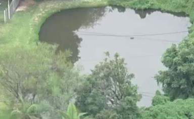 Sydney toddler drowns in backyard pond