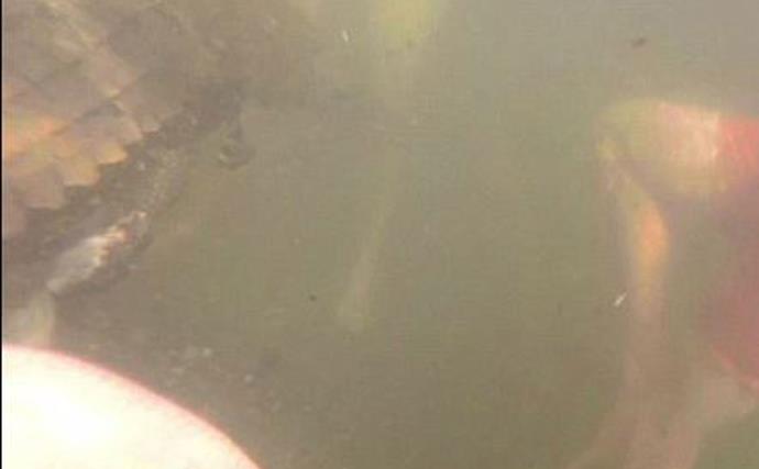WA croc attack: Teen captures on video when he was bitten