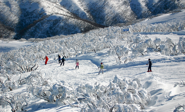 Image result for Tasmania, Australia ski center