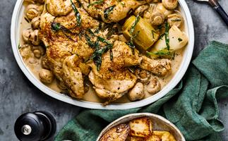 Verjuice chicken and leek stew
