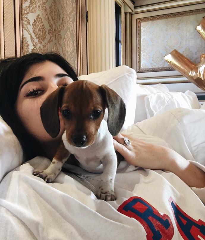 Kylie Jenner's new puppy, Penny - a birthday gift from friend Jordyn Woods.
