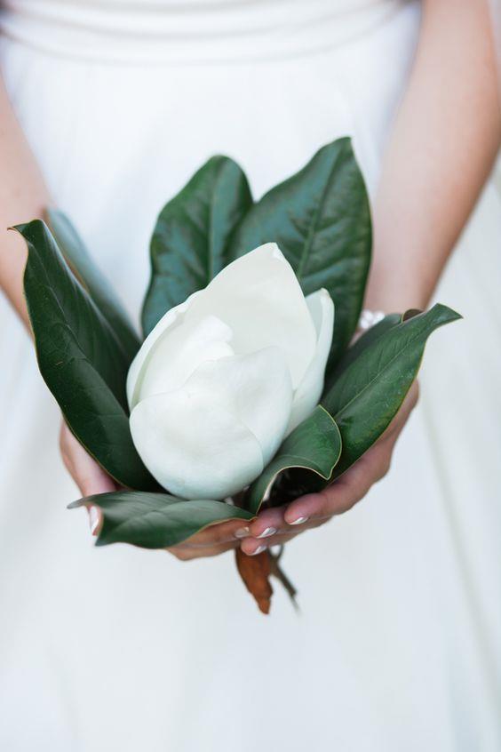 <p> <em>Magnolias</em><p> <p> Magnolias and their leaves have had their place in the wedding bouquet world for a while, but carrying a magnolia-only bouquet is a sweet way to minimalise and simplify your bouquet due to their big flowers and big, glossy leaves.<p> <p> Image via Pinterest.