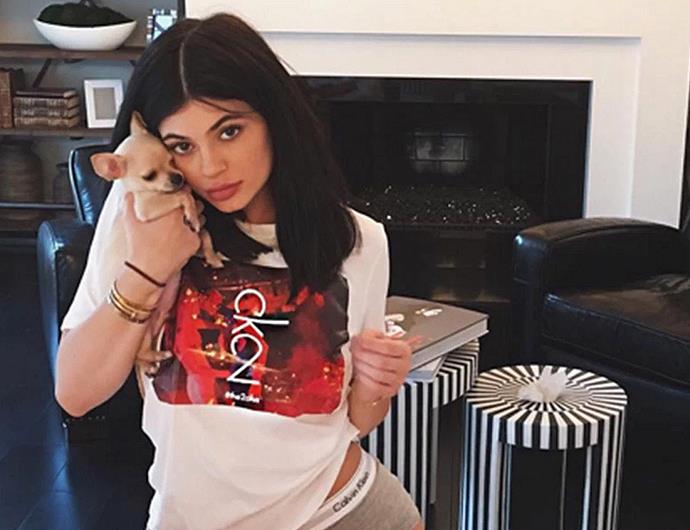 Kylie Jenner Introduces Her Eighth Dog On Her Snapchat | ELLE Australia