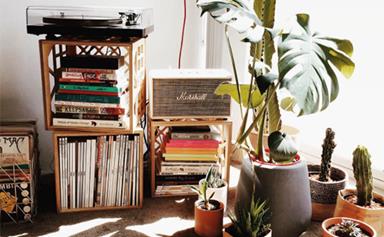 A Beginners Guide To Indoor Greenery