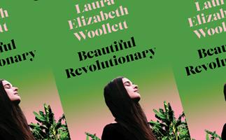 beautiful revolutionary book cover