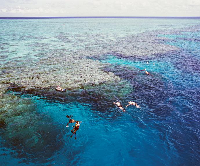 The Great Barrier Reef. 