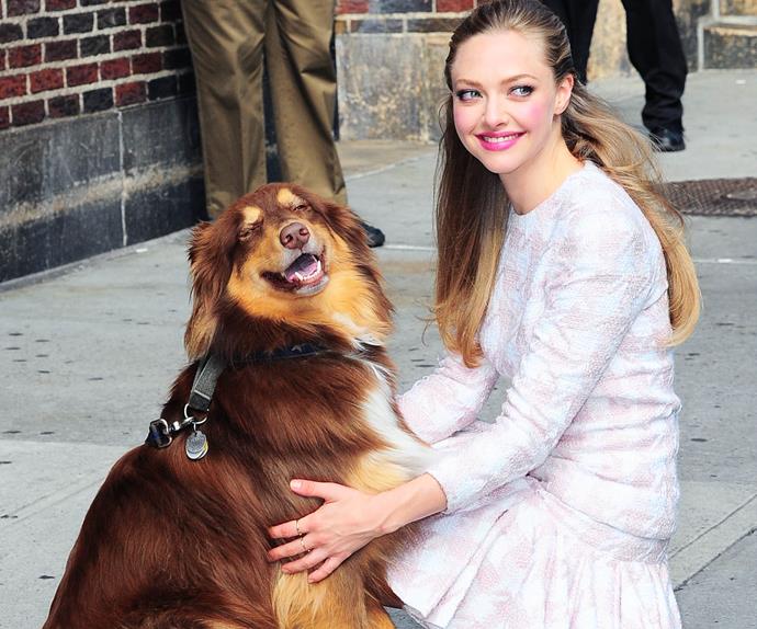 Amanda Seyfried and her dog.