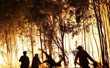 5 Ways You Can Help The Victims Of The Queensland And New South Wales Bushfires