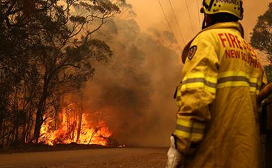 Ways You Can Help The Victims Of The Australian Bushfires