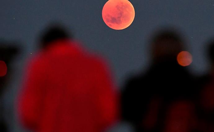 Get Ready To Look Up At The Sky, A Super Blood Flower Moon Is Headed Our Way