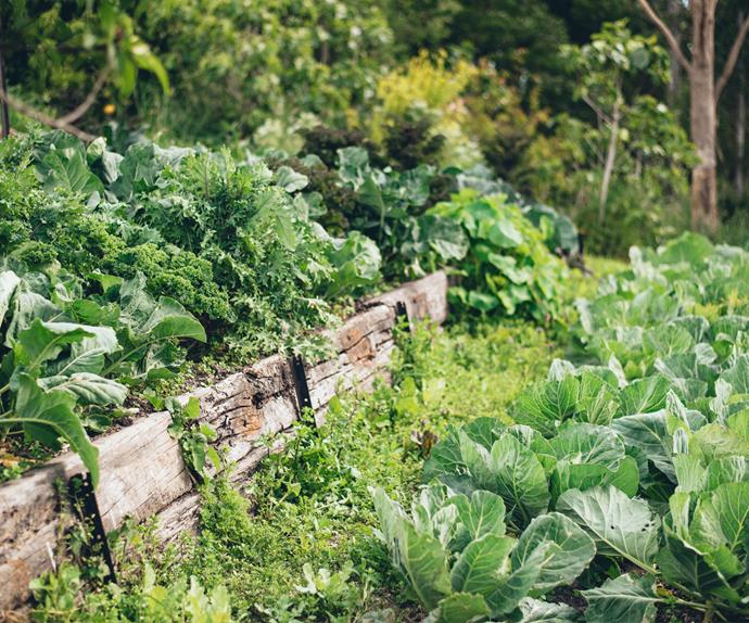 Easy ways to compost at home and reduce your food waste