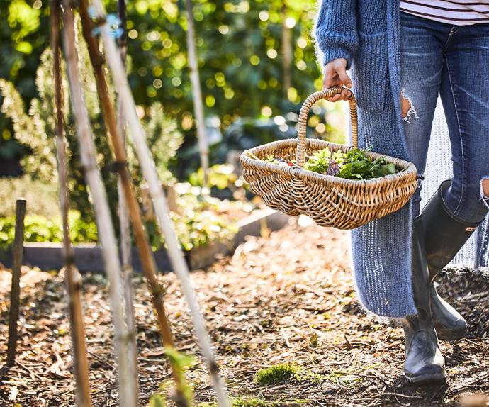 girl in vegetable garden with basket