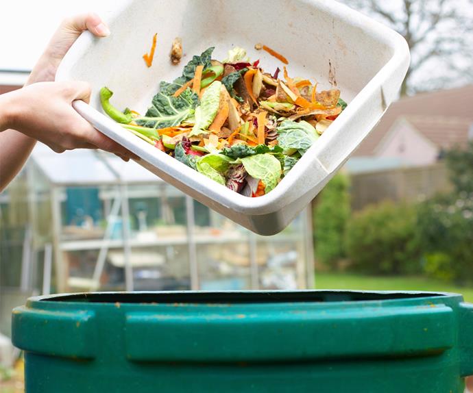 Composting 101: Your guide to getting started