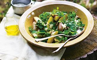 Potato and wild green salad with anchovy dressing