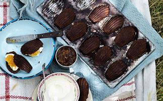 Chocolate madeleines with mascarpone and marmalade