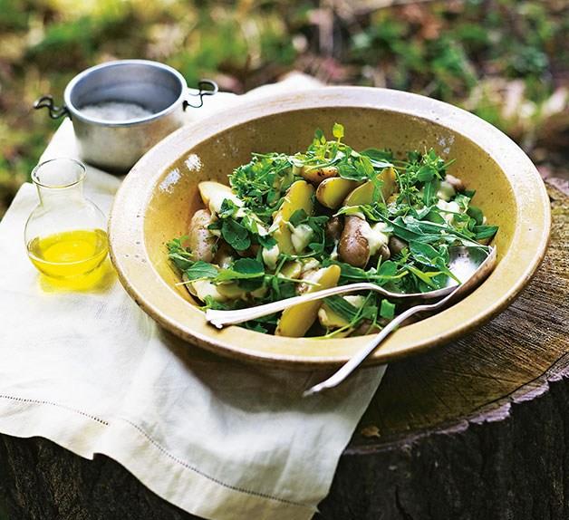 Potato and wild green salad with anchovy dressing