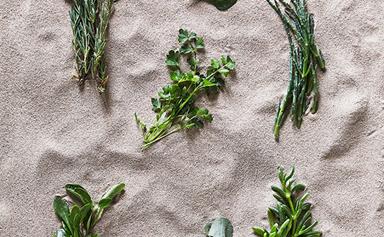 Know your beach greens