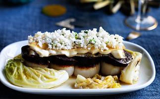 Bodega's morcilla and scallops with braised cabbage, tahini sandwich and pickled cauliflower