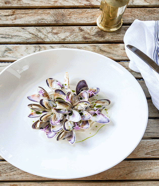 **Grilled pipis with lemon myrtle, smoked almond and garlic, Paper Daisy**
Australia's surf clams have had their star turns (most notably with XO sauce and wodges of fried vermicelli at Sydney's Cantonese landmark, Golden Century), but they've never been more Hollywood than against the glam backdrop of Paper Daisy at Halcyon House, the boutique hotel at Cabarita Beach on the north coast of New South Wales. Here, chef Ben Devlin plays their briny bite off against the likes of potatoes and peas, or lemon myrtle,smoked almond and garlic. _[Paper Daisy](http://halcyonhouse.com.au/restaurant/), Halcyon House, 21 Cypress Cres, Cabarita Beach, NSW, (02) 6676 1444_