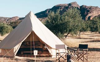 Sleep in a Grampians olive grove this autumn