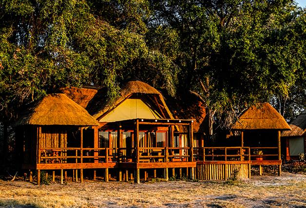 A luxury safari though Botswana's Okavango Delta