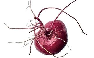 A Hida Beni red turnip