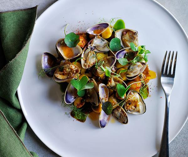 **[Gnocchi with spicy pipi sauce and wild herbs by Icebergs Dining Room & Bar](https://www.gourmettraveller.com.au/recipes/chefs-recipes/gnocchi-with-spicy-pipi-sauce-and-wild-herbs-8324|target="_blank")**