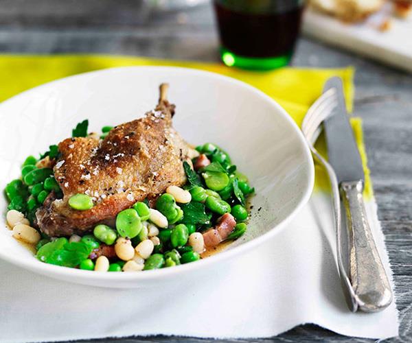 Confit duck with white beans, speck and broad beans
