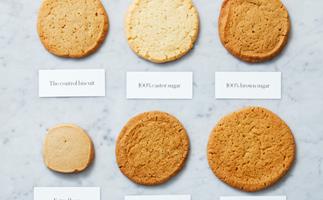 The biscuit line-up