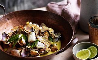 O Tama Carey's pipis with bay leaves and gentle curry sauce recipe