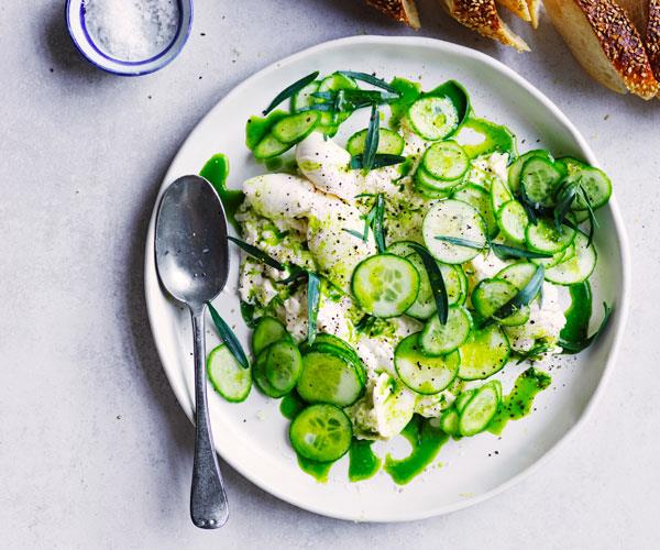 Burrata with herb oil and cucumber