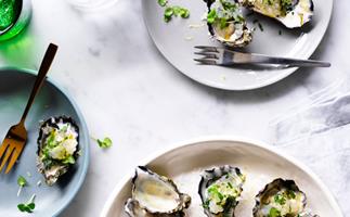 Grilled oysters with tapioca recipe