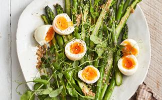 White plates with asparagus spears, halved soft-boiled eggs, and pea shoots, scattered with buckwheat.