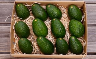 The subscription service that delivers boxes of avocados to your doorstep, every month